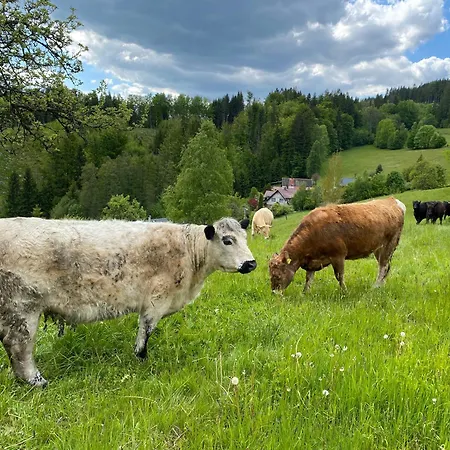 Krkonošský Bratrouchov Jablonec nad Jizerou