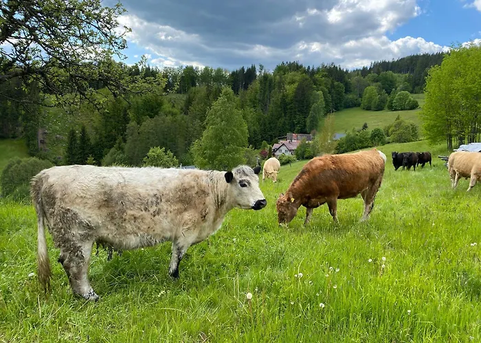 Krkonossky Bratrouchov Jablonec nad Jizerou